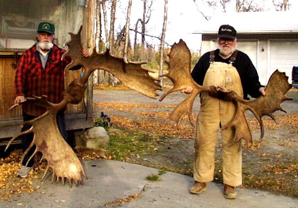 Just two of the many moose Tom has killed across the inlet over the years. No wonder the bears are thick in that neck of the woods!